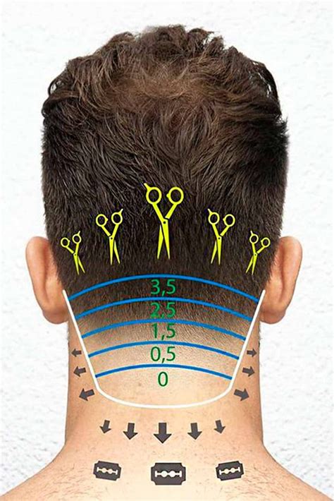 Haircut Numbers – Hair Clipper Sizes .